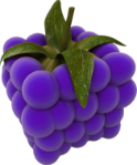Shows Image of a purple Fruit