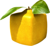Shows Image of a yellow Fruit